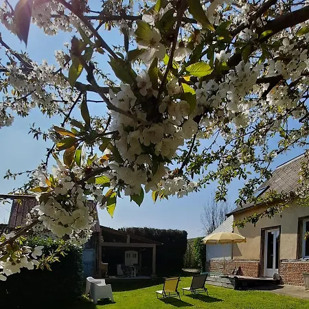 Bed & Breakfast D'hote 3*